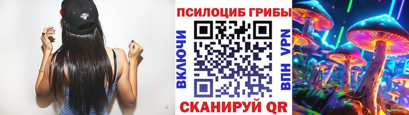 даркнет сайт  Нерюнгри  Псилоцибиновые грибы GOLDEN TEACHER 